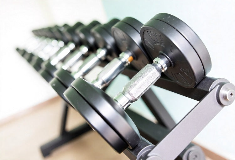 Adjustable Dumbbells vs Multi Gyms South Africa